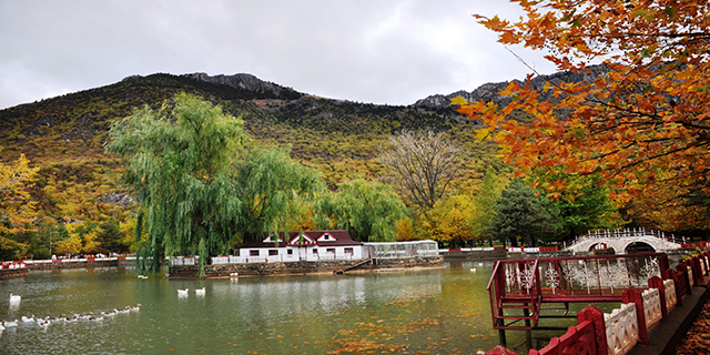 Seydişehir Kuğulu Park’ta kartpostallık görüntüler 1