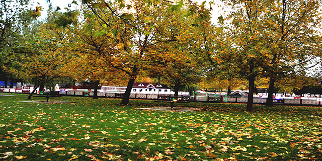 Seydişehir Kuğulu Park’ta kartpostallık görüntüler 8