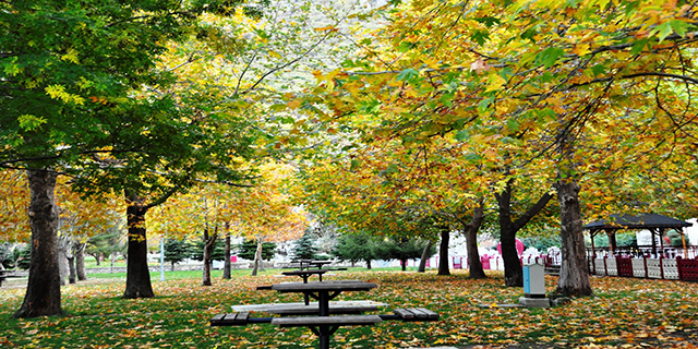 Seydişehir Kuğulu Park’ta kartpostallık görüntüler 7