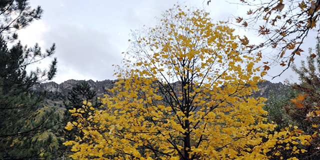 Seydişehir Kuğulu Park’ta kartpostallık görüntüler 9