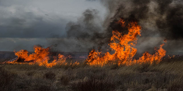 Beyşehir’de sazlık yangını