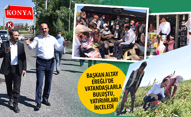 Başkan Altay, Ereğli’de Domates Hasadına Katıldı