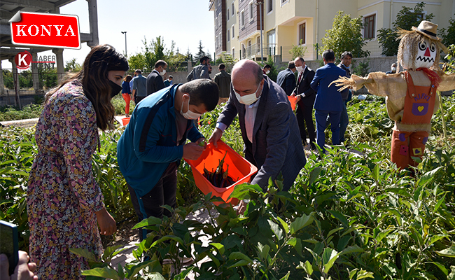 Engelsiz Tarım Festivali Kapsamında Bahçe Hasadı Yapıldı
