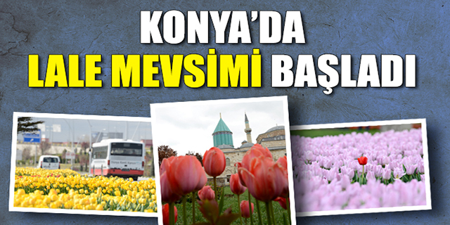 Konya’da “Lale Mevsimi” başladı