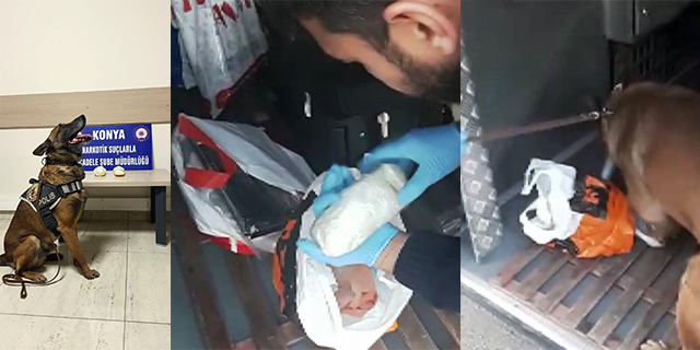 Narkotik köpeği Oscar yine yakaladı