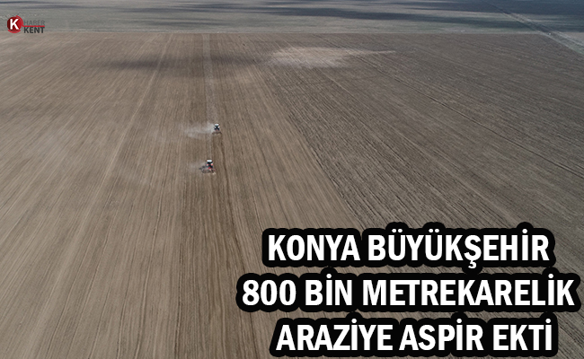 Konya Büyükşehir 800 Bin Metrekarelik Araziye Aspir Ekti