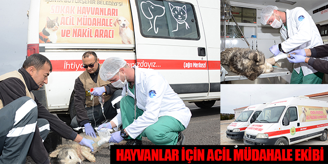 HAYVANLAR İÇİN ACİL MÜDAHALE EKİBİ