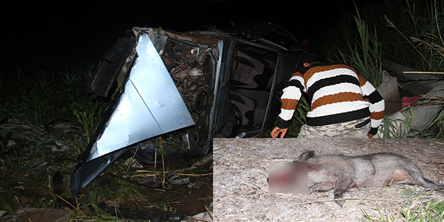 Konya’da yaban domuzu kazaya sebep oldu: 5 yaralı