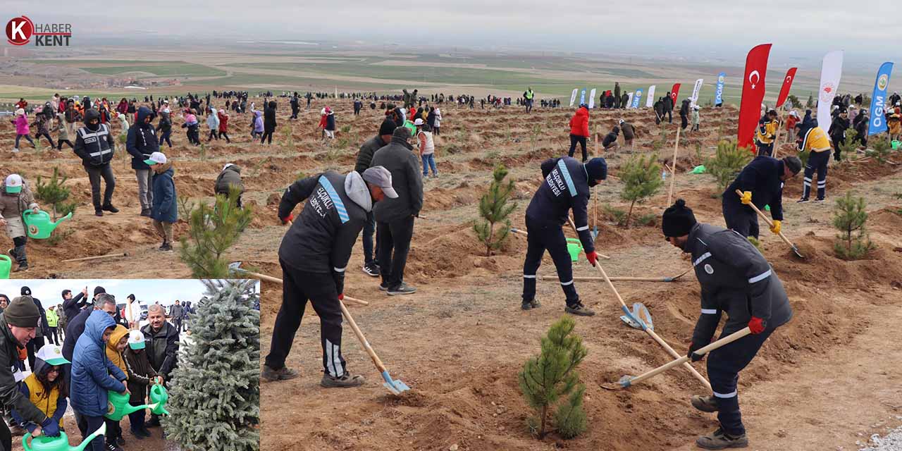 Konya’da Ormancılık Haftası’nda 35 Bin Fidan Toprakla Buluşturulacak