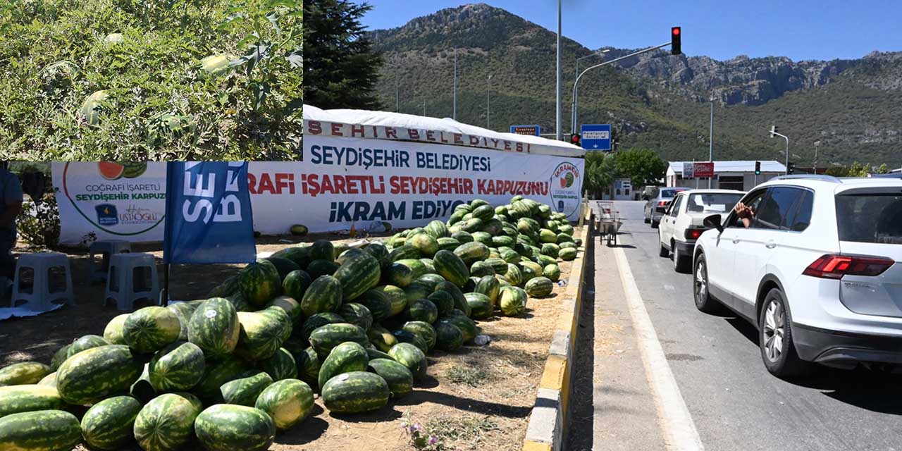 Tarlada Kalan Karpuzlar Ücretsiz Dağıtıldı