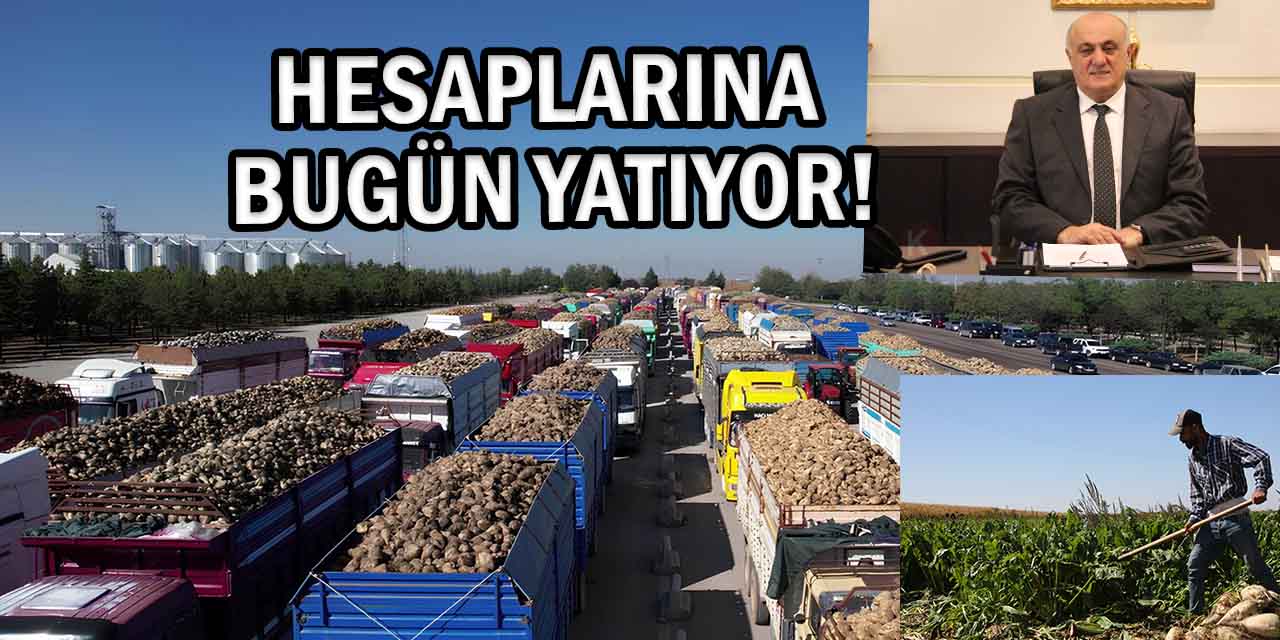 Pancar Çiftçisine Çifte Avans: Hesaplarına Bugün Yatıyor!