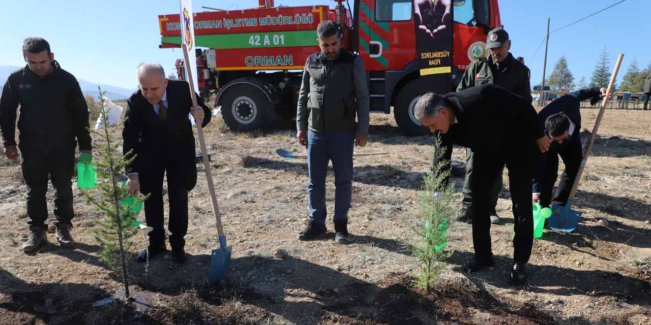 ‘Adalet Ormanı’nda 550 Fidan Toprakla Buluşturuldu