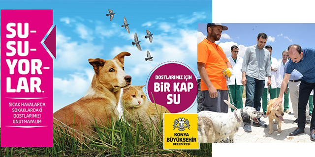 Konya’da sokak hayvanları için “Bir Kap Yemek Bir Kap Su” kampanyası