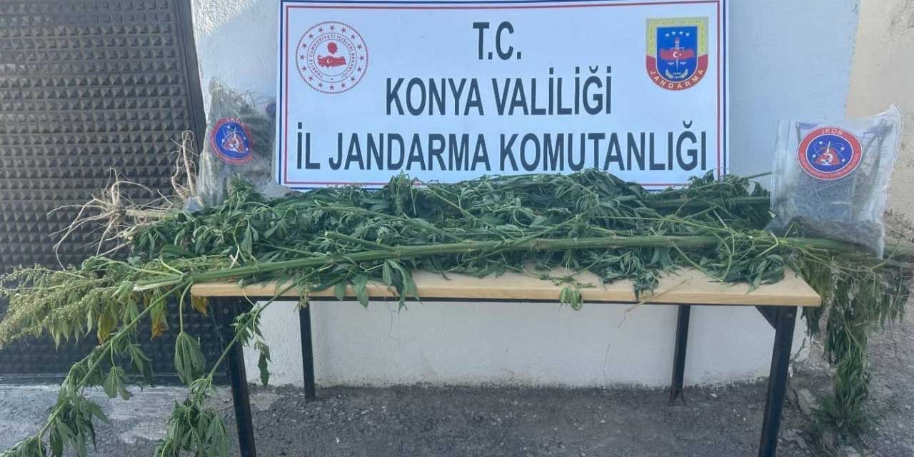 Konya’da Uyuşturucu Operasyonu: 1 Gözaltı