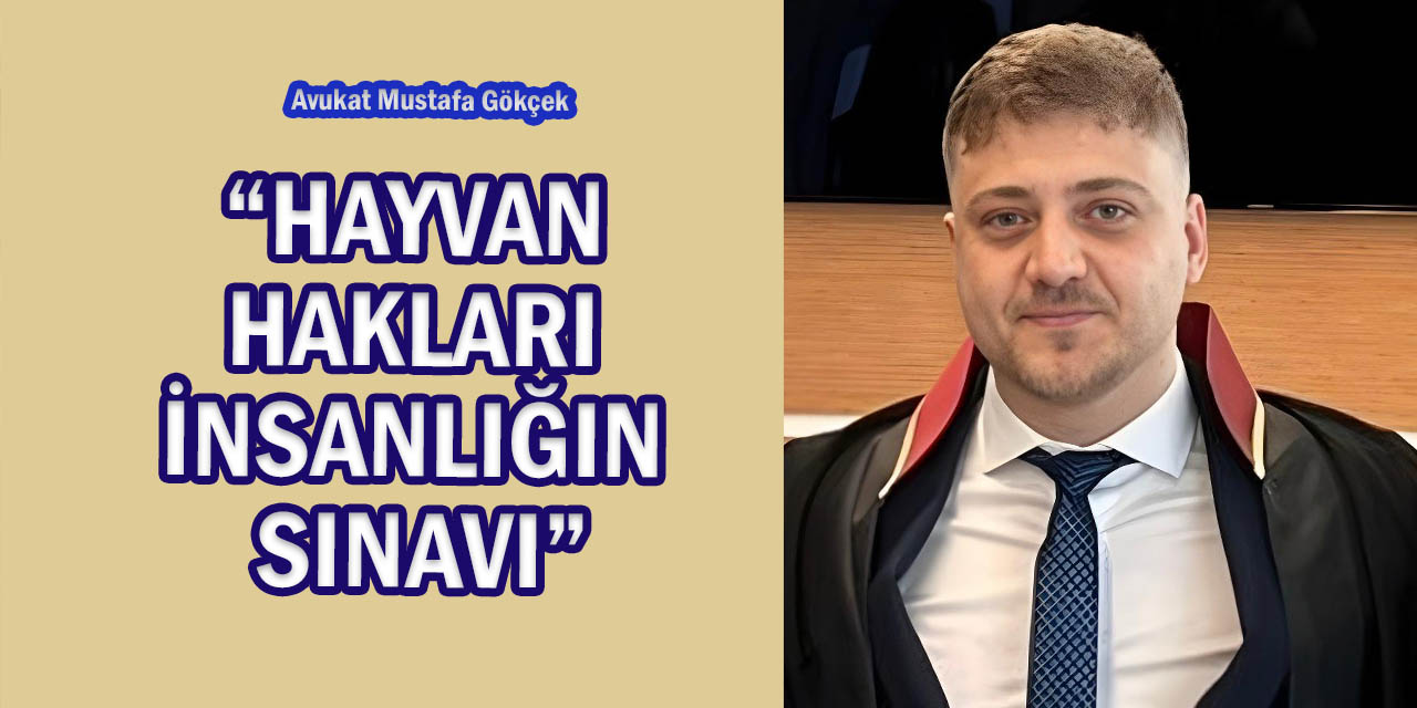Avukat Gökçek: “Hayvan Haklarını Korumak, İnsanlık Onurunu Korumaktır”