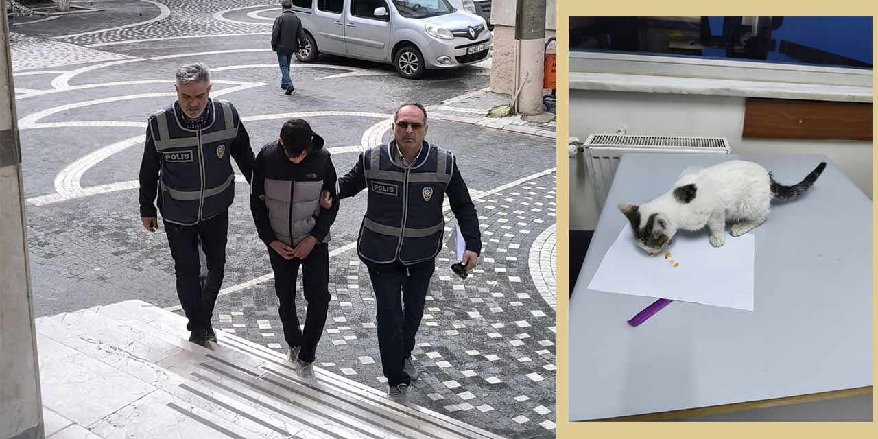 Akşehir’de Kediye Şiddet Uygulayan Kişi Gözaltına Alındı