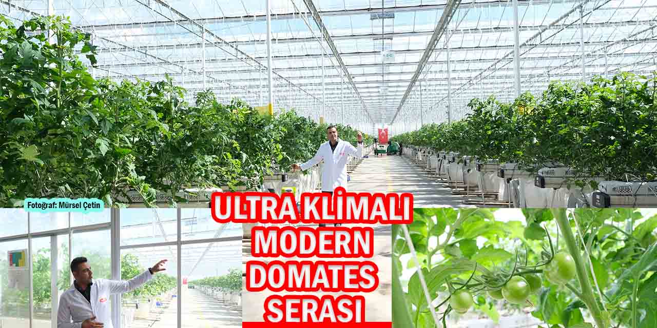 Türkiye’de Örneği Yok, Dünyada Sayılı!