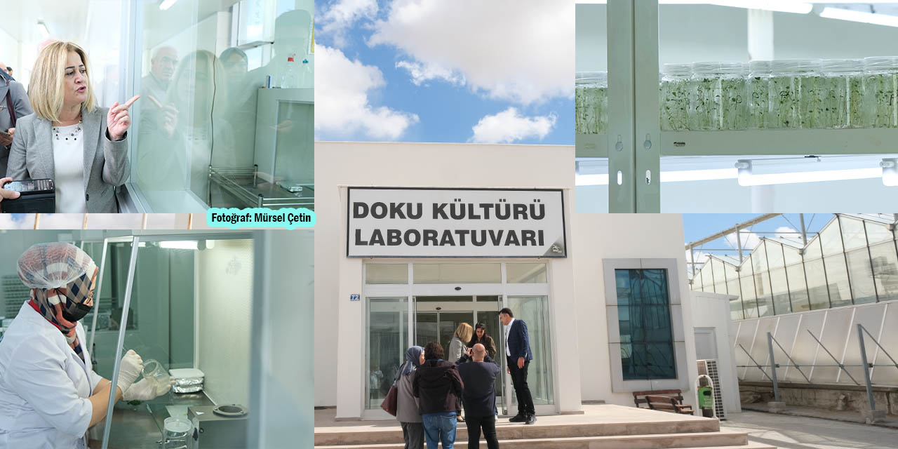 Doku Kültürü Laboratuvarıyla Hedef: “Yurtdışına Bağımlılığı Ortadan Kaldırmak”