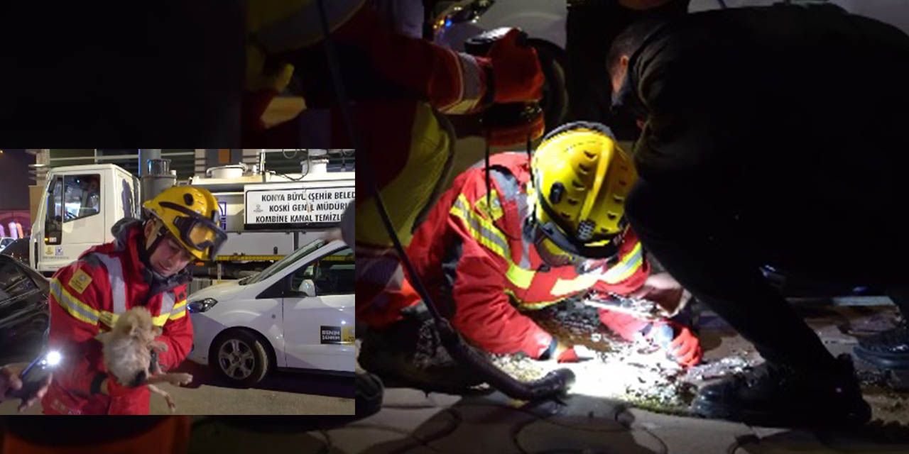 Kanalizasyon Borusunda Mahsur Kalan Yavru Köpek 6 Saat Süren Çalışmayla Kurtarıldı