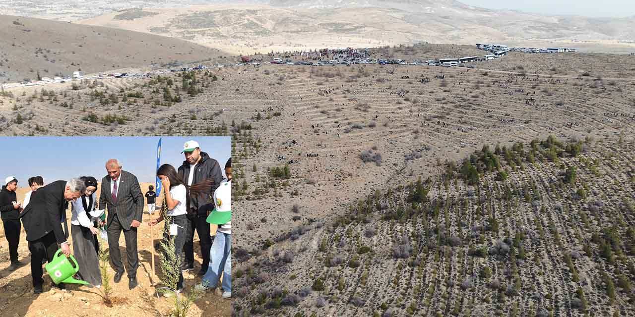 Yeşil Vatan Seferberliği