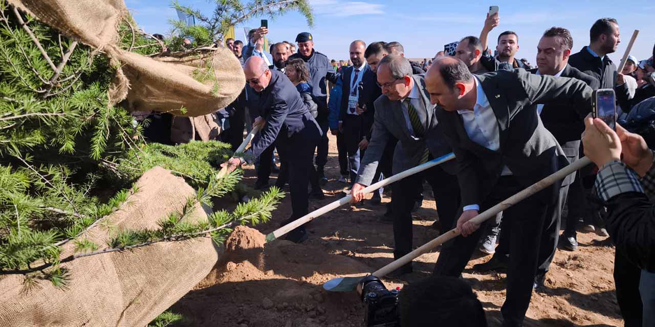 Başkan Altay: “Son 6 Yılda 1 Milyon 730 Bin Fidanı Toprakla Buluşturduk”