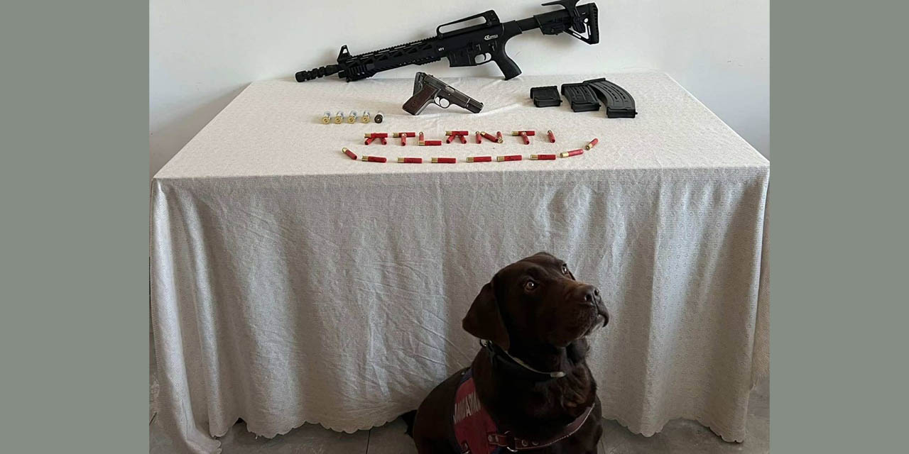 Konya’da Silah Kaçakçılığı Operasyonu: 2 Gözaltı