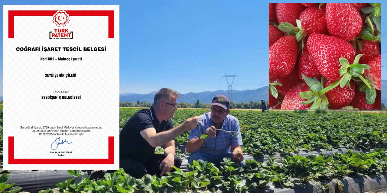Seydişehir Çileği Tescillendi