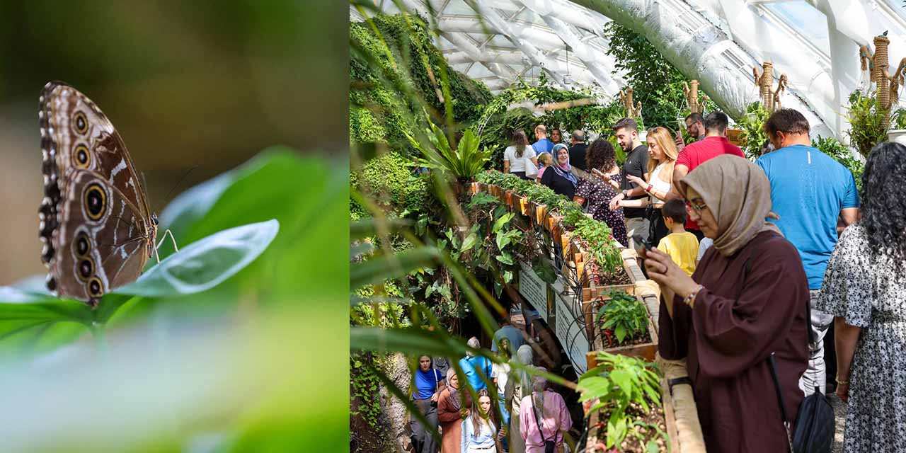 Konya’nın Turizm Yıldızı: Tropikal Kelebek Bahçesi