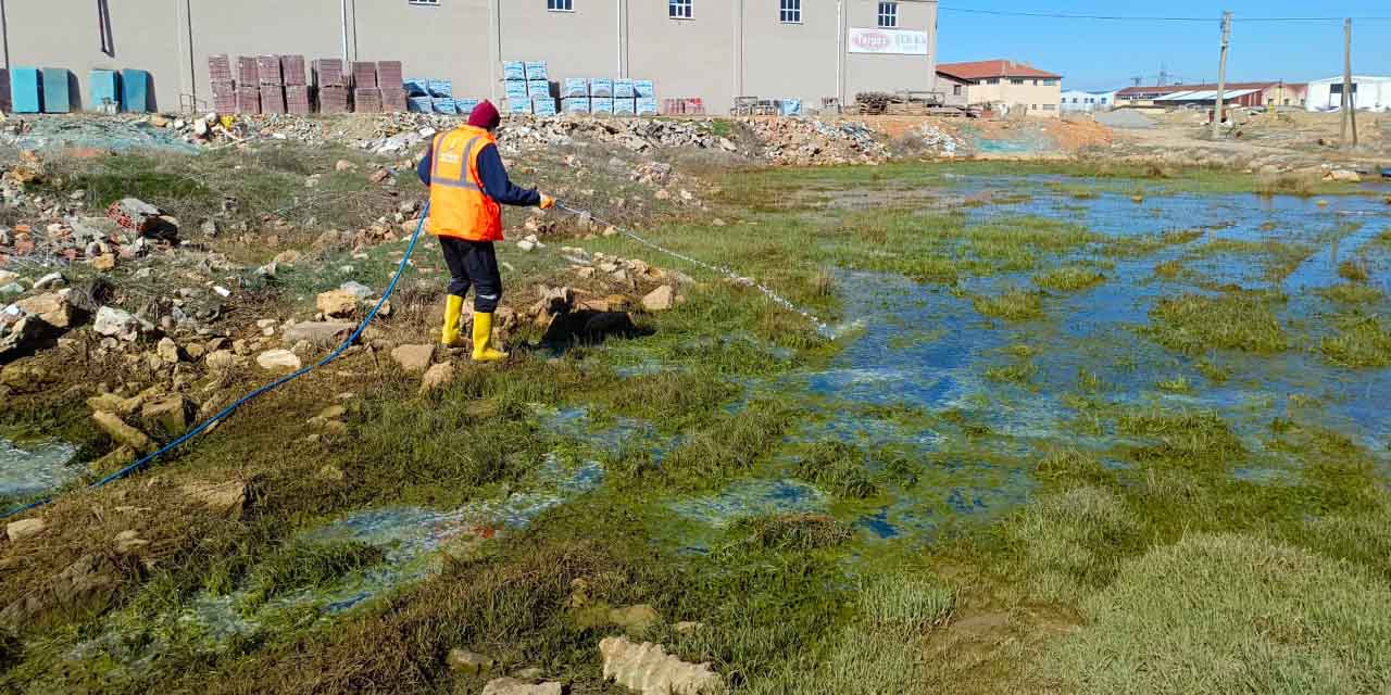 Seydişehir Belediyesi İlaçlama Çalışmalarına Başladı