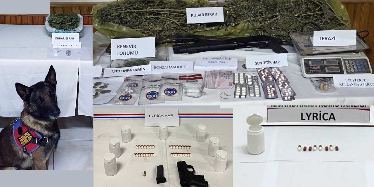 Jandarma Ekiplerinden Zehir Tacirlerine Operasyon: 12 Tutuklama