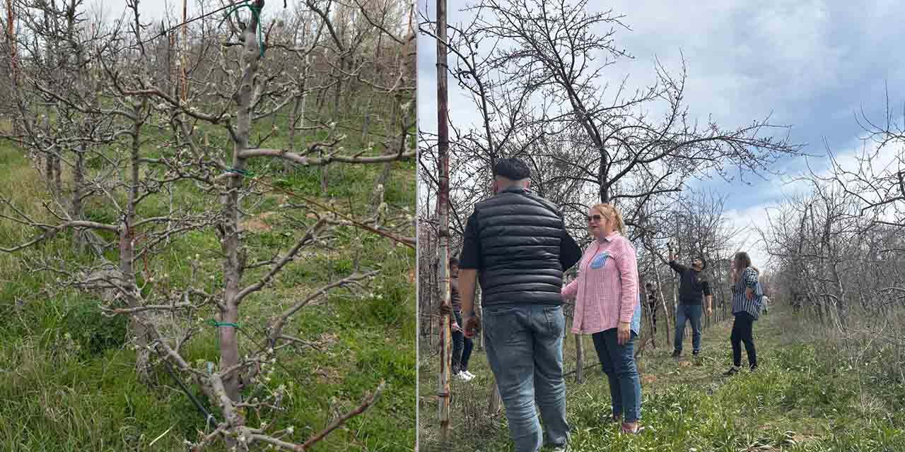 Sarayönü MYO’da “Fidan Yetiştiriciliği Programı Öğrenci Alımına Açılsın” Çağrısı!