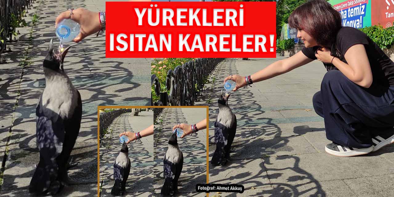 Yürekleri Isıtan Anlar Objektife Yansıdı!