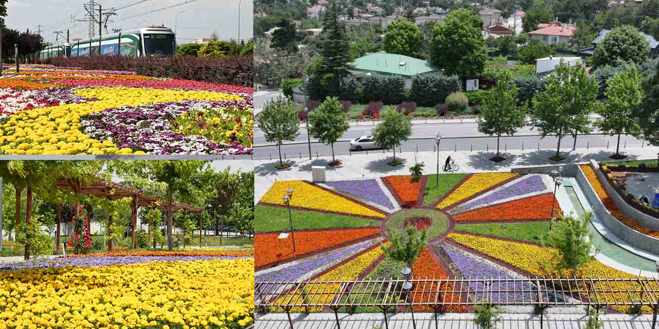 Konya’ya Ayrı Bir Güzellik Katıyorlar!