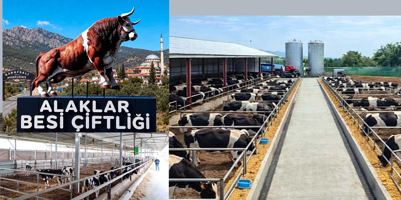 Hedef, Bölgenin En Modern Çiftliği Olmak