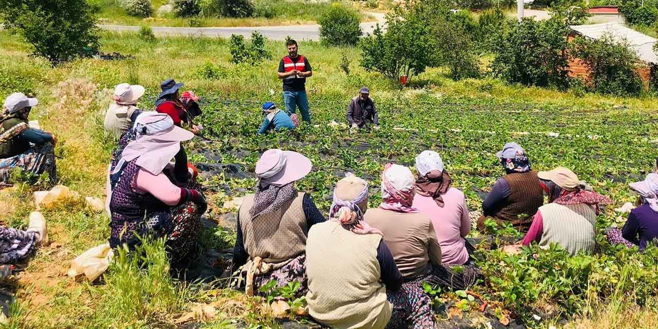 Bağımlılığa Karşı İlk Kale: Aile