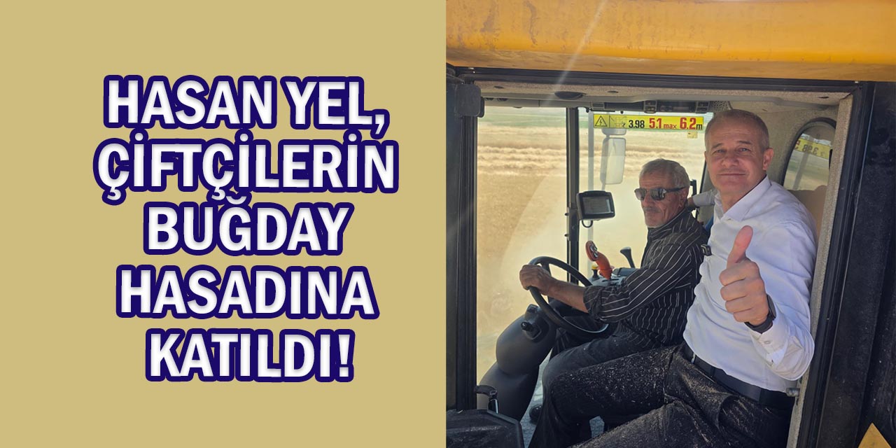 Hasan Yel, Çiftçilerin Biçerdöverle Buğday Hasadına Katıldı!