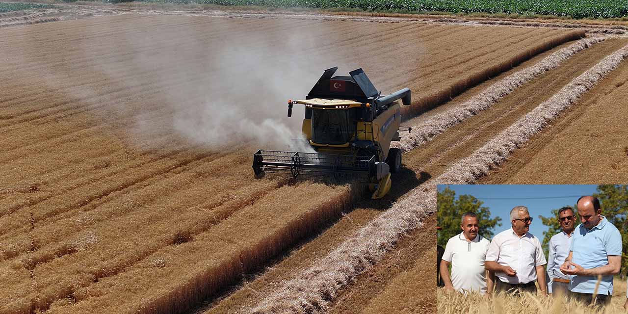 Başkan Altay, Çiftçilerin Hasat Heyecanına Ortak Oldu