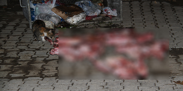 At kesildiği şüphesi tedirgin etti