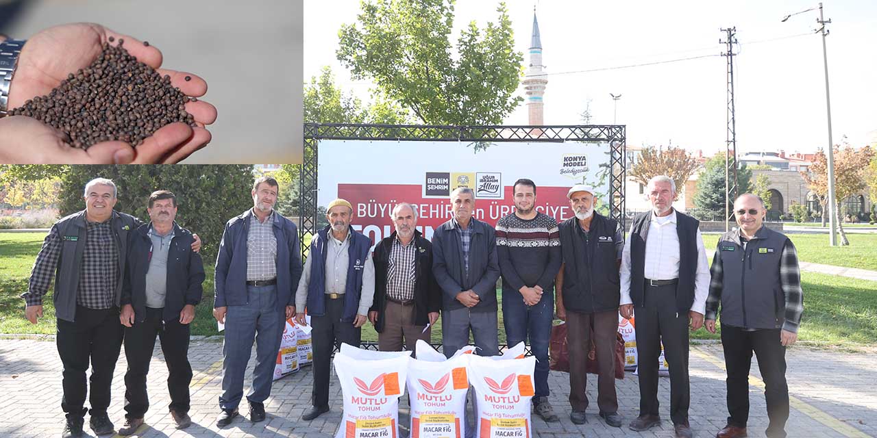 Konya Büyükşehir’den Üreticiye Kuraklığa Dayanıklı Yüzde 75 Hibeli Fiğ Desteği