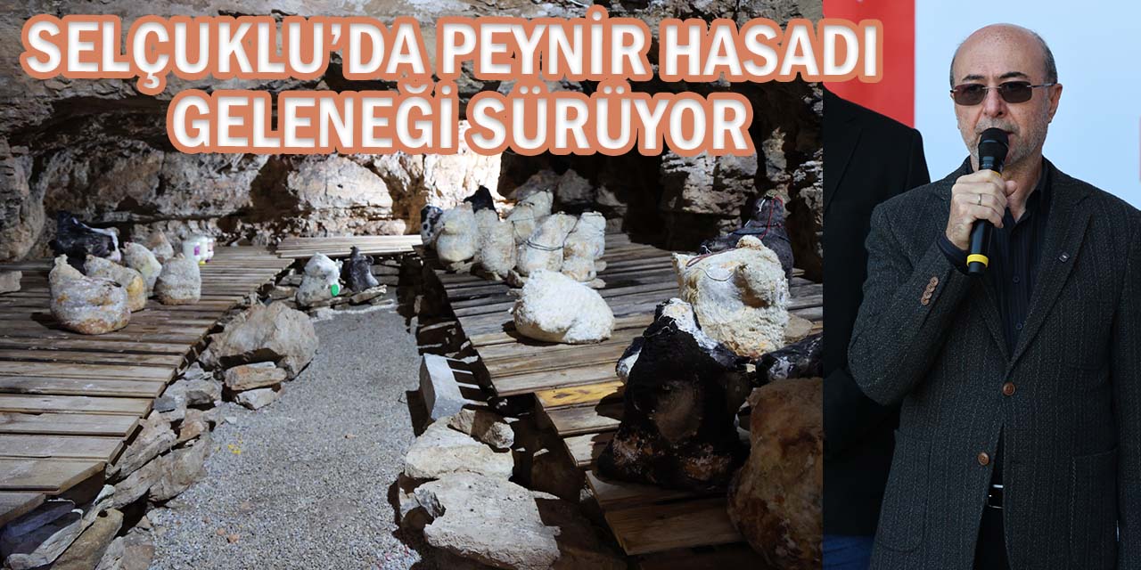Selçuklu’da Peynir Hasadı Gerçekleştirildi