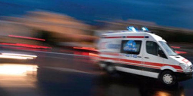 Kestiği Ağacın Altında Kalarak Can Verdi