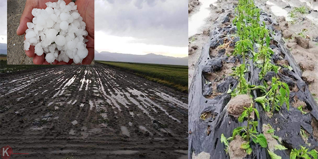 Seydişehir Belediyesinden dolu yağışından etkilenen tarım işçilerine yardım