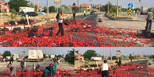 Karayolu adeta domates tarlasına döndü