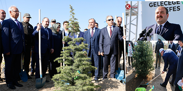 Bakan Varank: "Gezi Parkı’nda birkaç ağaç için sokağa çıkanların artan orman varlıkları ile ilgili tek bir sözünü duyamazsınız"