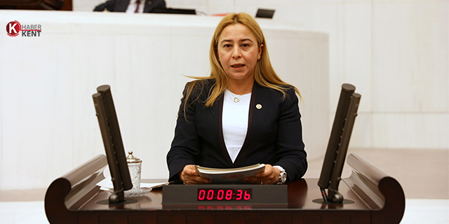 MHP Milletvekili Esin Kara, mali reform istedi