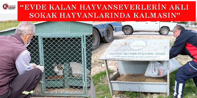 Başkan Kavuş: “Evde kalan hayvanseverlerin aklı sokak hayvanlarında kalmasın”