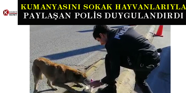 Kumanyasını sokak hayvanlarıyla paylaşan polis görenleri duygulandırdı