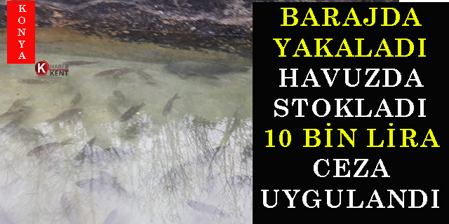 Barajda yakaladığı balıkları havuzunda stokladığı iddia edilen kişiye 10 bin lira ceza