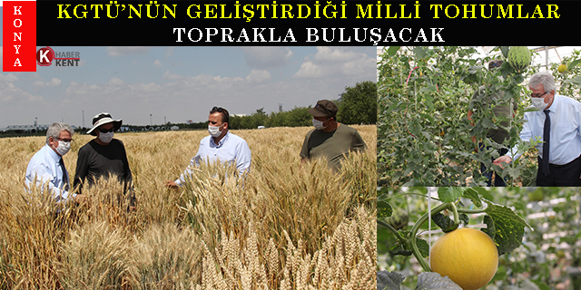 Konya Gıda ve Tarım Üniversitesinin geliştirdiği milli tohumlar toprakla buluşacak
