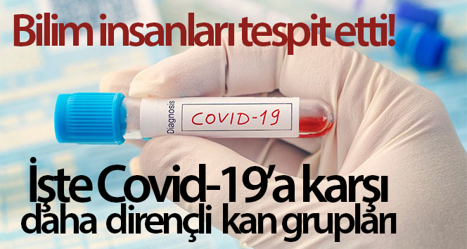 Bazı kan gruplarının Covid-19’a karşı daha dirençli olduğunu tespit edildi